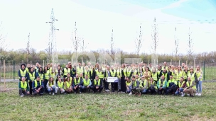 Posađeno 50 stabala za 50 godina 